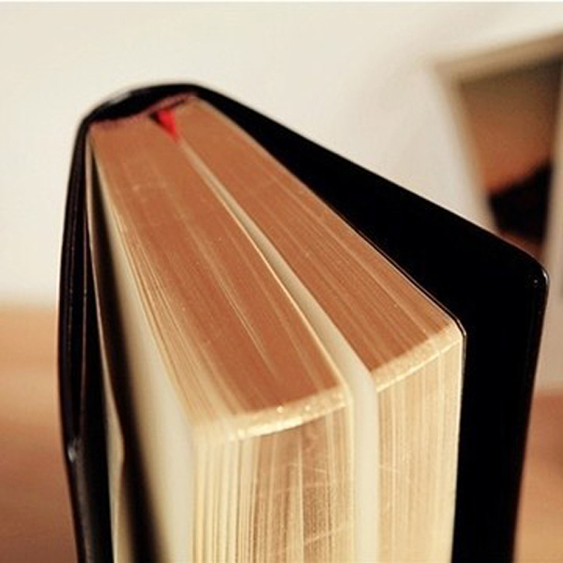 Vintage Thick Leather Bible No - огляд і ціна Leather Work Diary